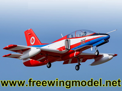 Freewing F-22 V2 90mm ARF Plus EDF Jet