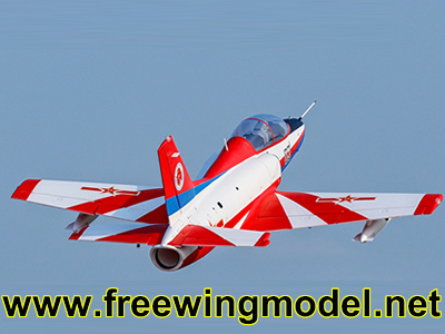 Freewing K-8 Karakorum 80mm PNP Jet