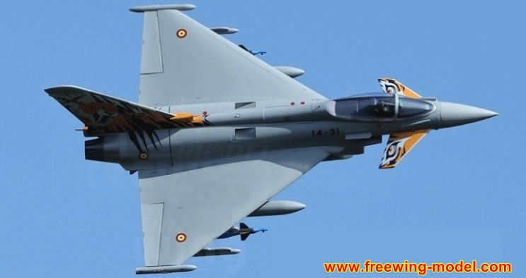 Freewing Eurofighter Typhoon  90mm EDF Jet 