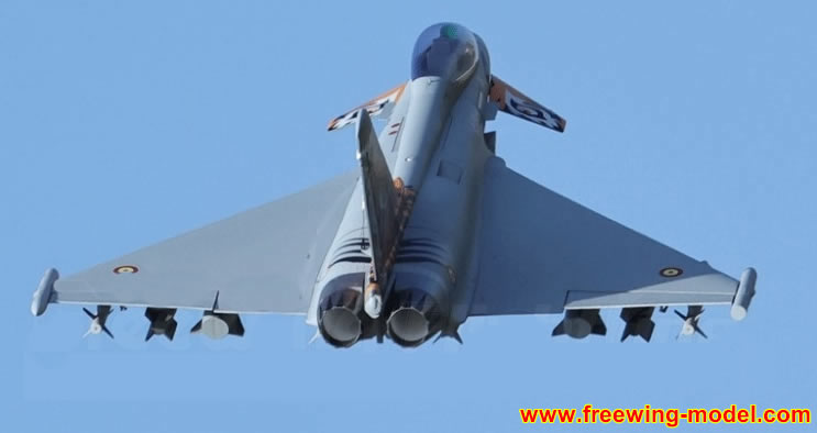 Freewing Eurofighter Typhoon  90mm EDF Jet 