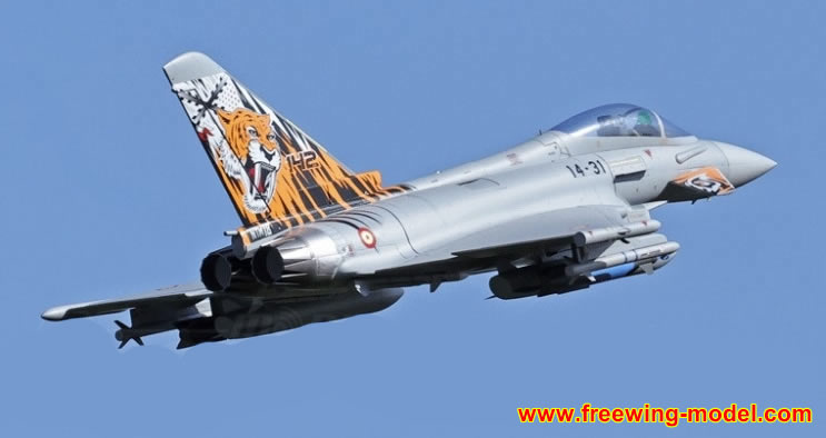 Freewing Eurofighter Typhoon  90mm EDF Jet 