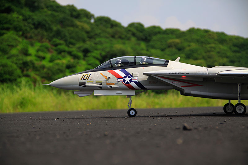 Freewing F-14 Tomcat Twin 80mm EDF Jet PNP RC Airplane