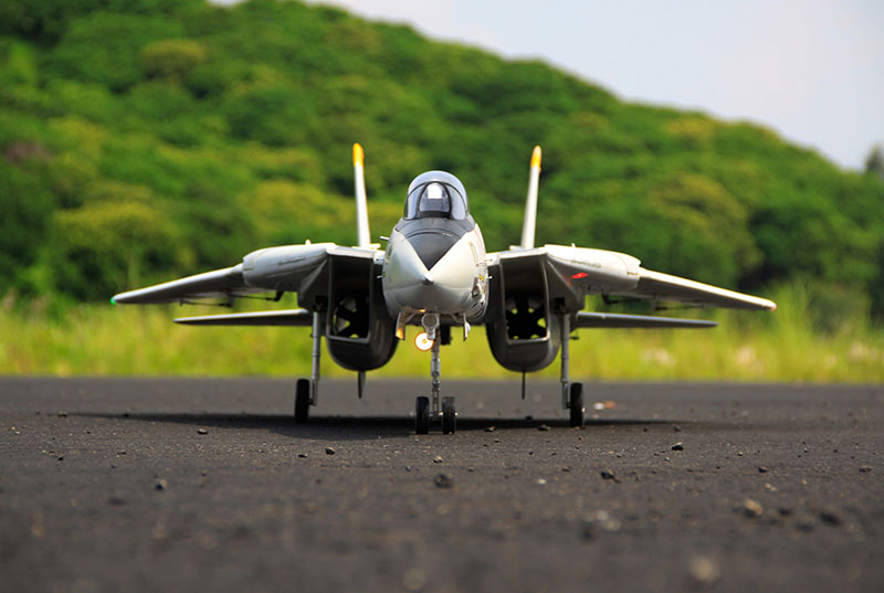 Freewing F-14 V2 Tomcat Twin 80mm EDF Jet PNP RC Airplane