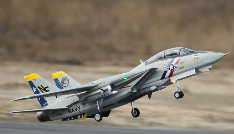 Freewing F-14 Tomcat Twin 80mm EDF Jet PNP RC Airplane