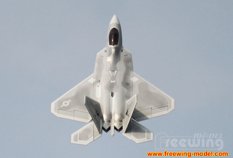 Freewing F-22 Raptor Ultra Performance 90mm EDF Jet Kit airplane