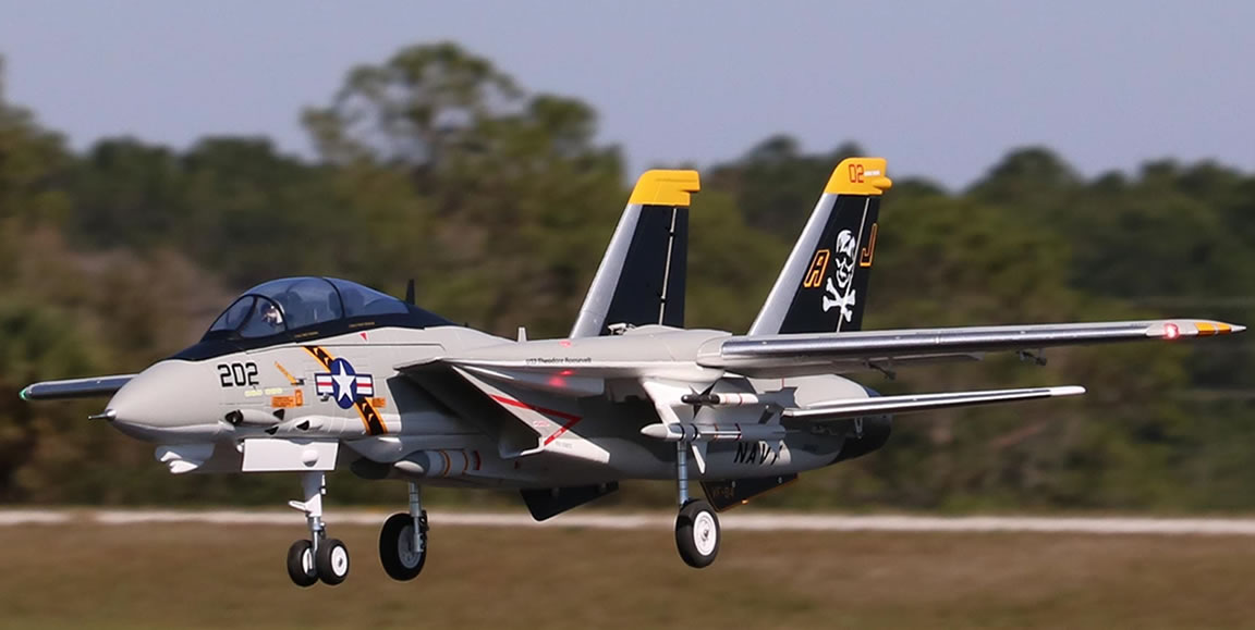 Freewing F-14 Tomcat Twin 64mm EDF Jet