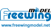 Freewing Hobby Official Store