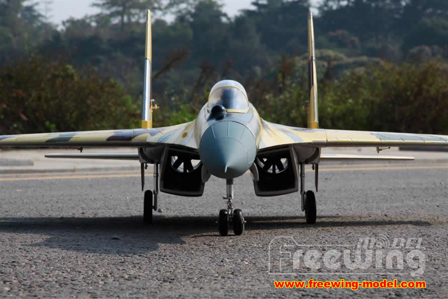 freewing su35 rc airplane