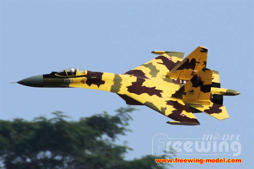 freewing su35 rc airplane