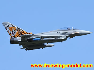 Freewing Eurofighter Typhoon 6S 90mm EDF Jet PNP RC airplane