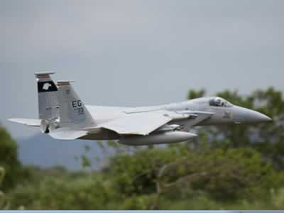 Freewing F-15C 90mm EDF Jet PNP RC Airplane