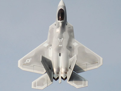 freewing F-22 raptor 90mm 6s edf jet PNP RC airplane