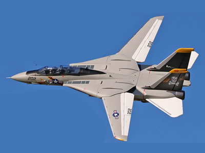 Freewing F-14 Tomcat Twin 64mm EDF Jet PNP RC Airplane